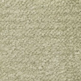 Бежевый ковролин Emphatic