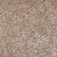 Бежевый ковролин Hidden Treasure