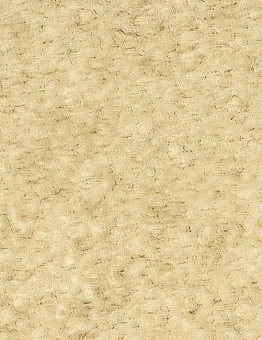 Линолеум Acoustic 7 Color