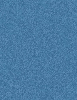 Линолеум GRABOFLEX GYMFIT 60