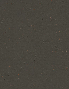 Линолеум Marmoleum Cocoa 2,50