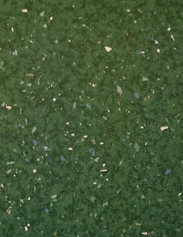 Линолеум Emerald Spectra