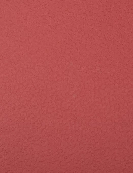 Линолеум Apoluza SportFloor PVC 6.5