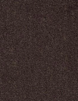 Ковролин Gleam W2W