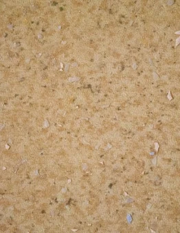 Линолеум Emerald Spectra