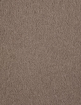 Бежевый ковролин Splendor