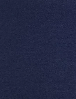 Синий ковролин Quick DD