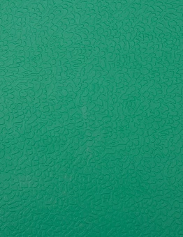 Линолеум Apoluza SportFloor PVC 4.5