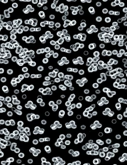 Ковролин Flotex Sottsass