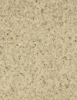 Линолеум CHIPS ASTRAL