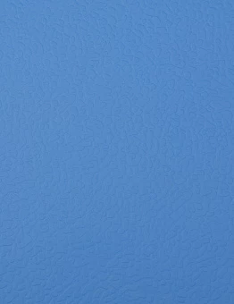 Линолеум Apoluza SportFloor PVC 4.5