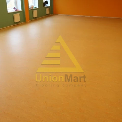 Павловская гимназия