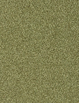 Ковровая плитка Torso