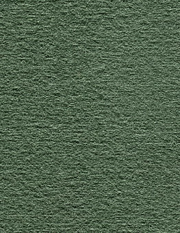 Серый ковролин Audrey