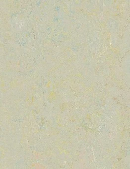 Marmoleum Splash 2,50