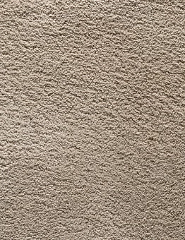 Бежевый ковролин Wealthy Gathering