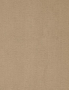 Ковролин Prominent