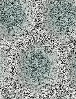 Ковролин Flotex by Mac Stopa