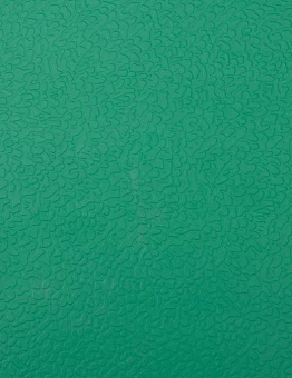 Линолеум Apoluza SportFloor PVC 6.5