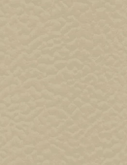 Линолеум Taraflex Evolution Uni