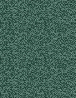 Ковролин Арена