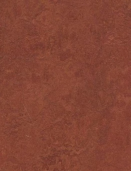 Marmoleum Authentic 2,50