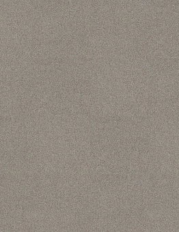 Ковровая плитка Level Up