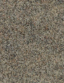 Бежевый ковролин Forte