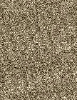 Ковровая плитка Biosfera Boucle