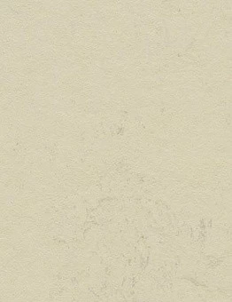 Линолеум Marmoleum Concrete 2,50