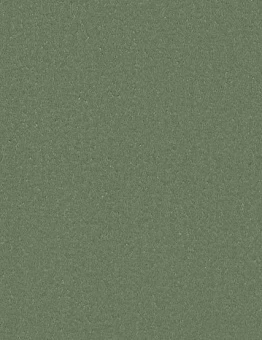 Линолеум Taralay Impression Comfort Plus