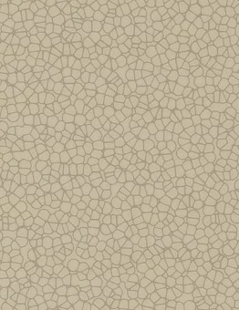 Линолеум Sarlon Graphic & Colour 19dB