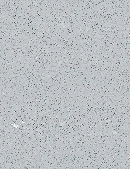 Линолеум SafeStep R12