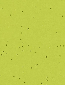 Линолеум Sphera Energetic