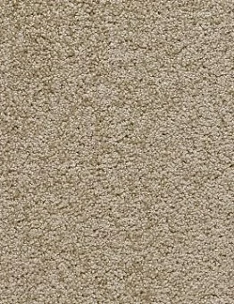 Бежевый ковролин E-touch