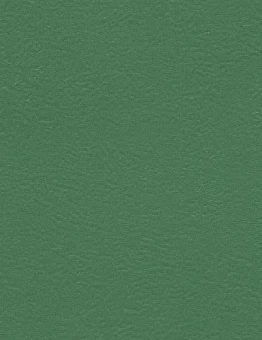 Линолеум GRABOFLEX START