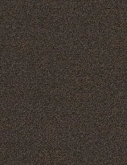 Ковровая плитка Biosfera Boucle