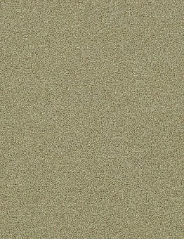Ковровая плитка Polichrome Stipple