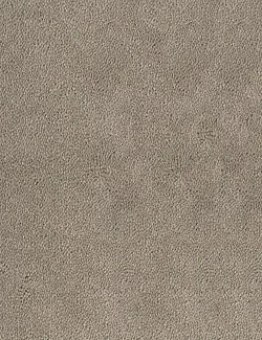 Ковролин Asteranne