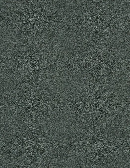 Ковровая плитка Polichrome Stipple