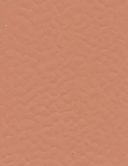 Линолеум Recreation 60 Uni