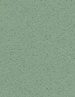 Линолеум Tarasafe Standard