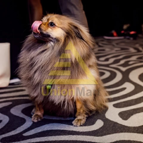 Гостиница Вертикаль Бутик