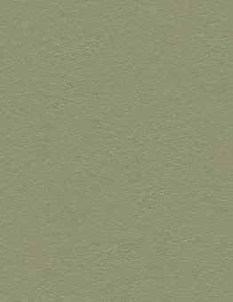 Линолеум Marmoleum Walton 2,50