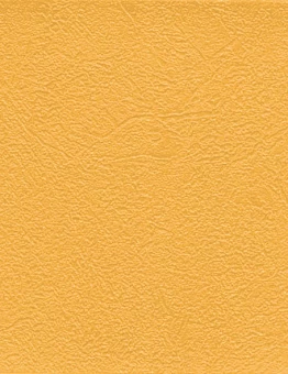 Линолеум GRABOFLEX GYMFIT 50