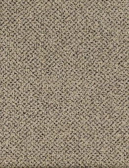 Бежевый ковролин Arto