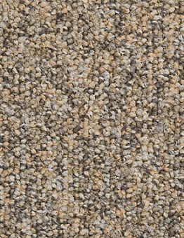 Ковровая плитка Millennium100