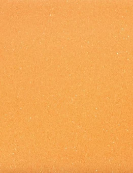 Линолеум Favorite PUR/R10/Sanitized