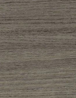 Линолеум Taraflex Multiuse 6.2 Wood