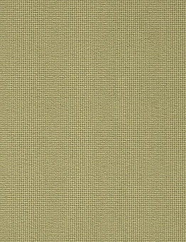 Ковролин Schubert